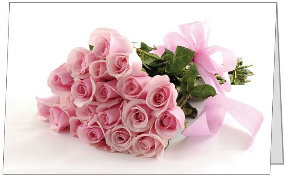 Free Gift Folded Card Pink Roses