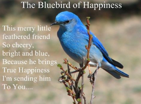 Free Gift Folded The Bluebird of Happiness