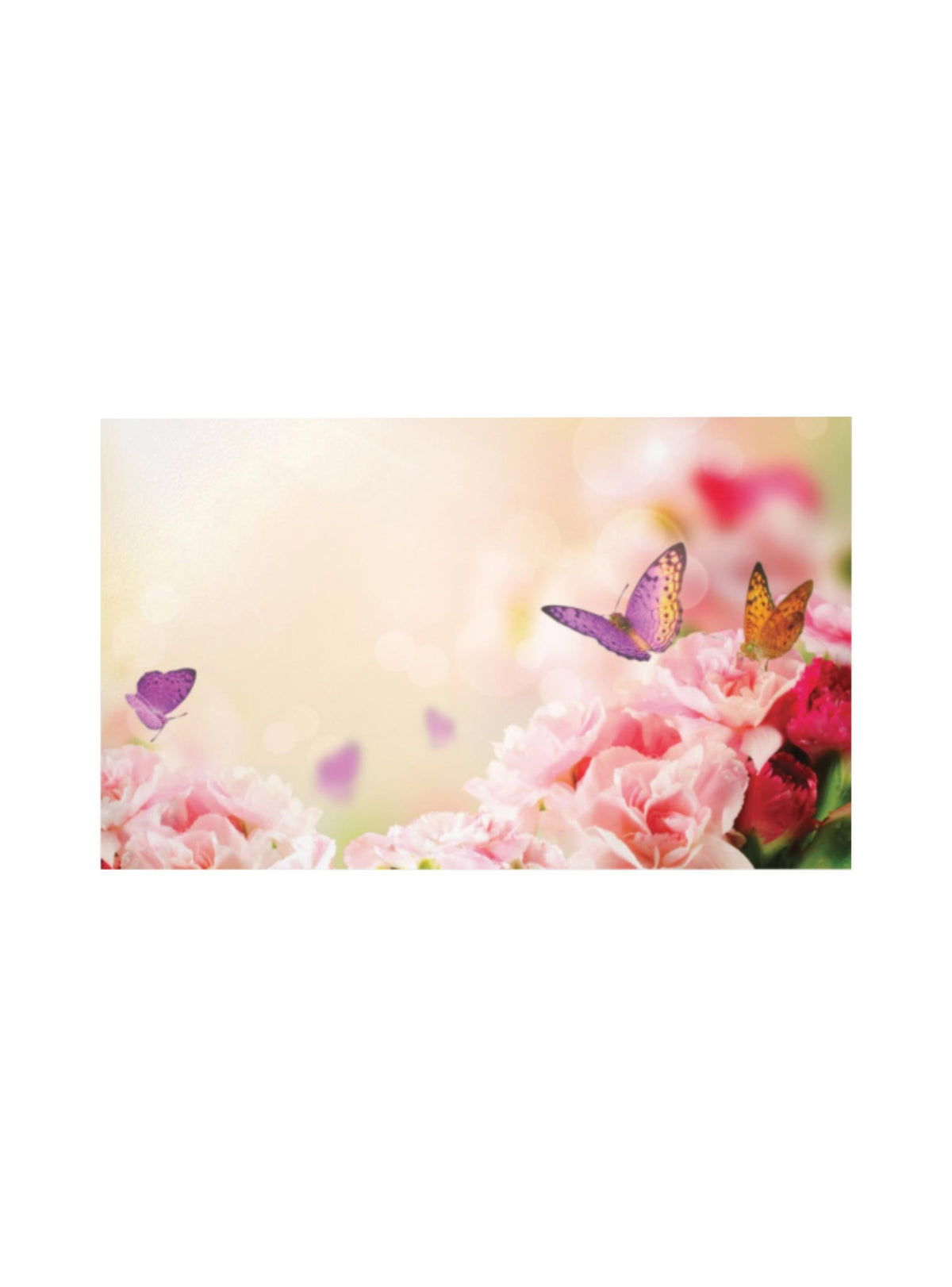 Free Gift Tag Butterfly