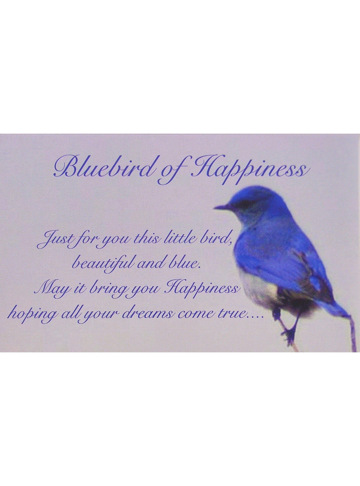 Bluebird Heart Charm Necklace in Sterling Silver