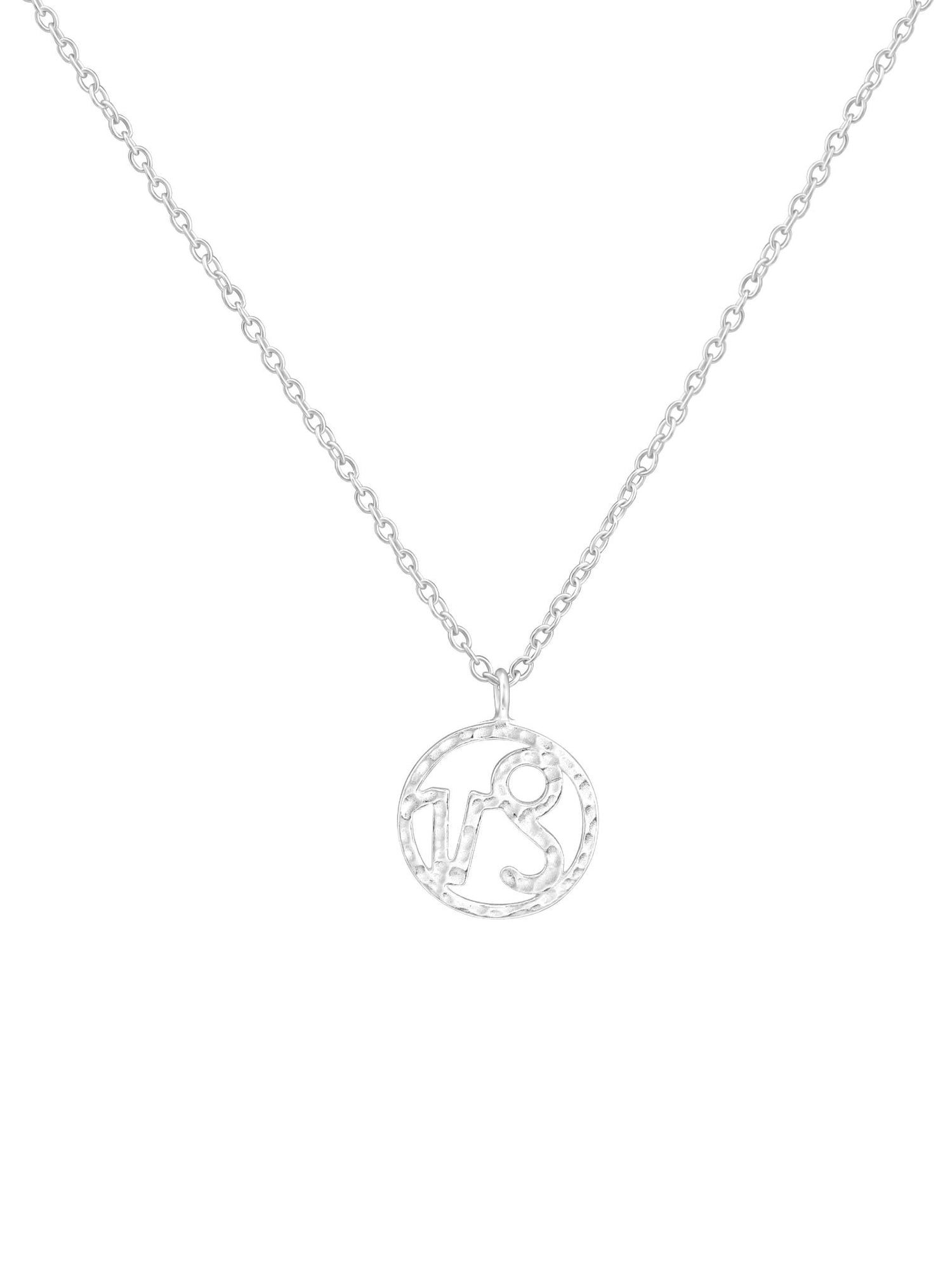 Sterling Silver Modern Zodiac Charm Necklace in Capricorn