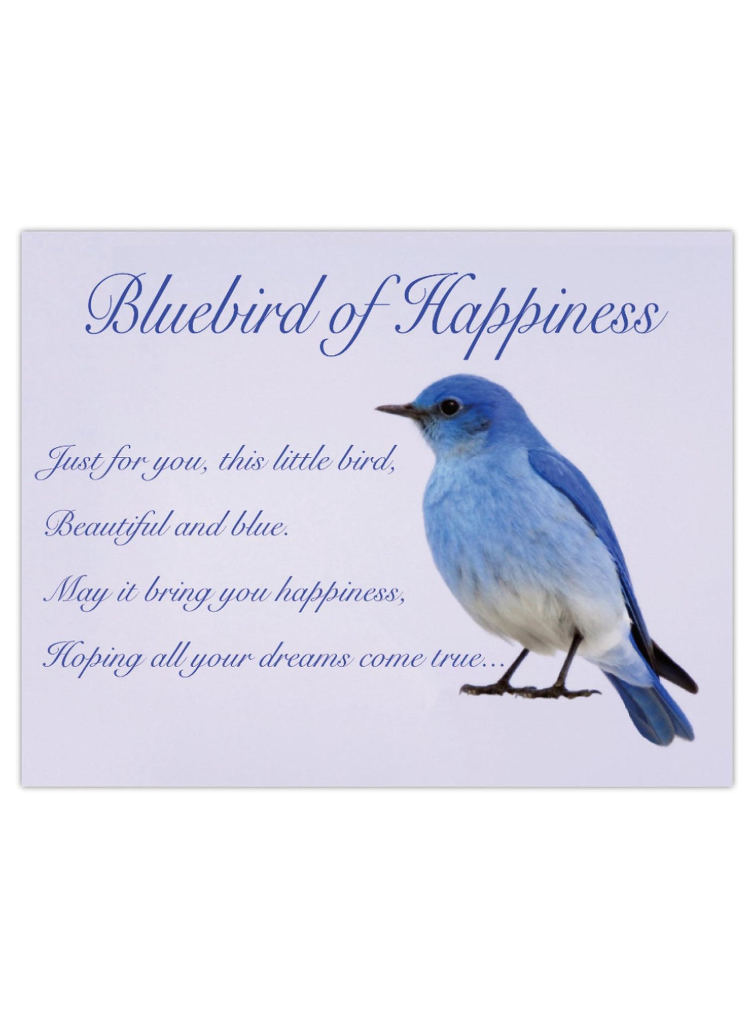 Greeting Gift Card Folded Bluebird of Happiness