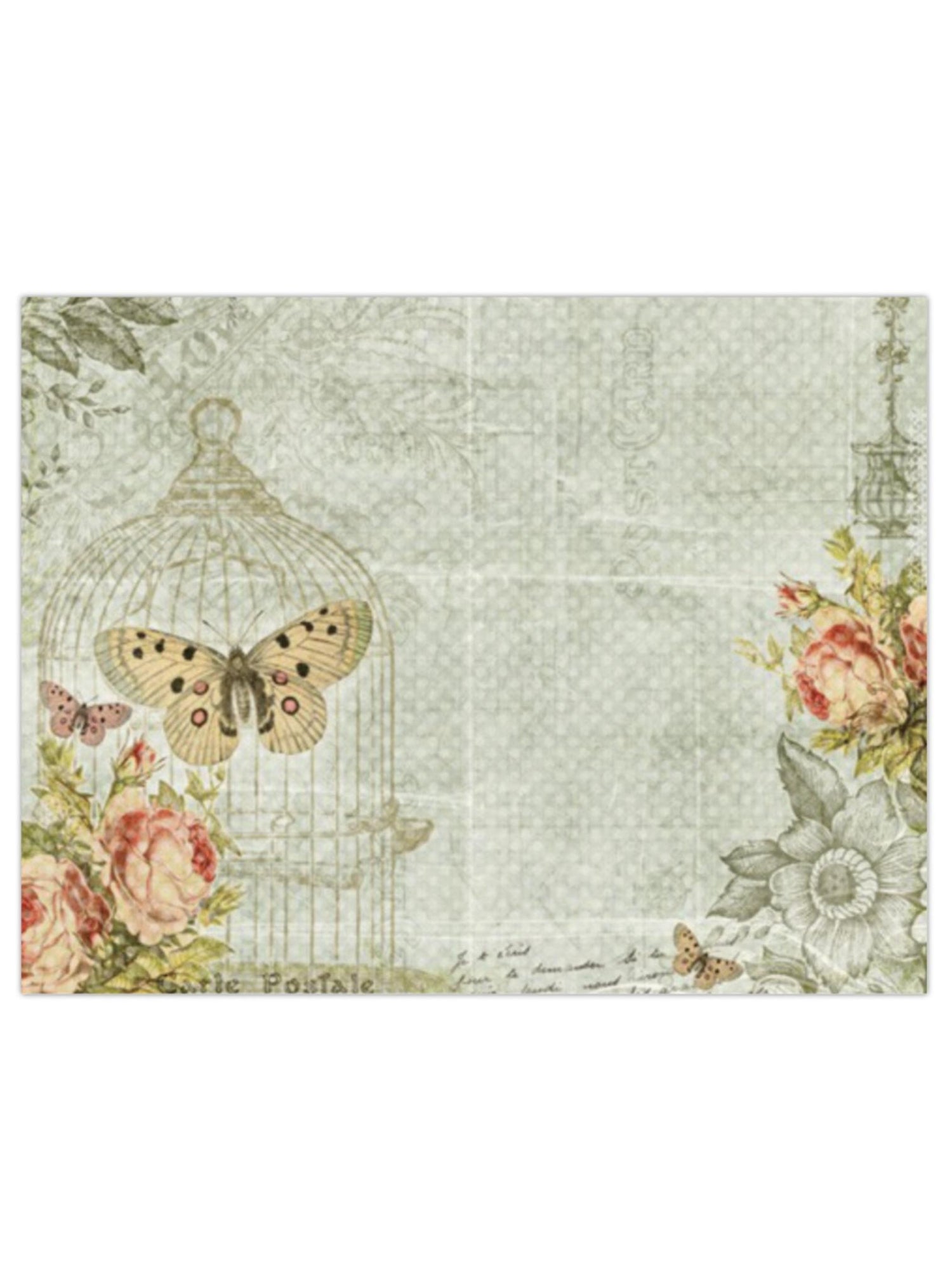 Greeting Gift Card Folded Vintage Butterfly