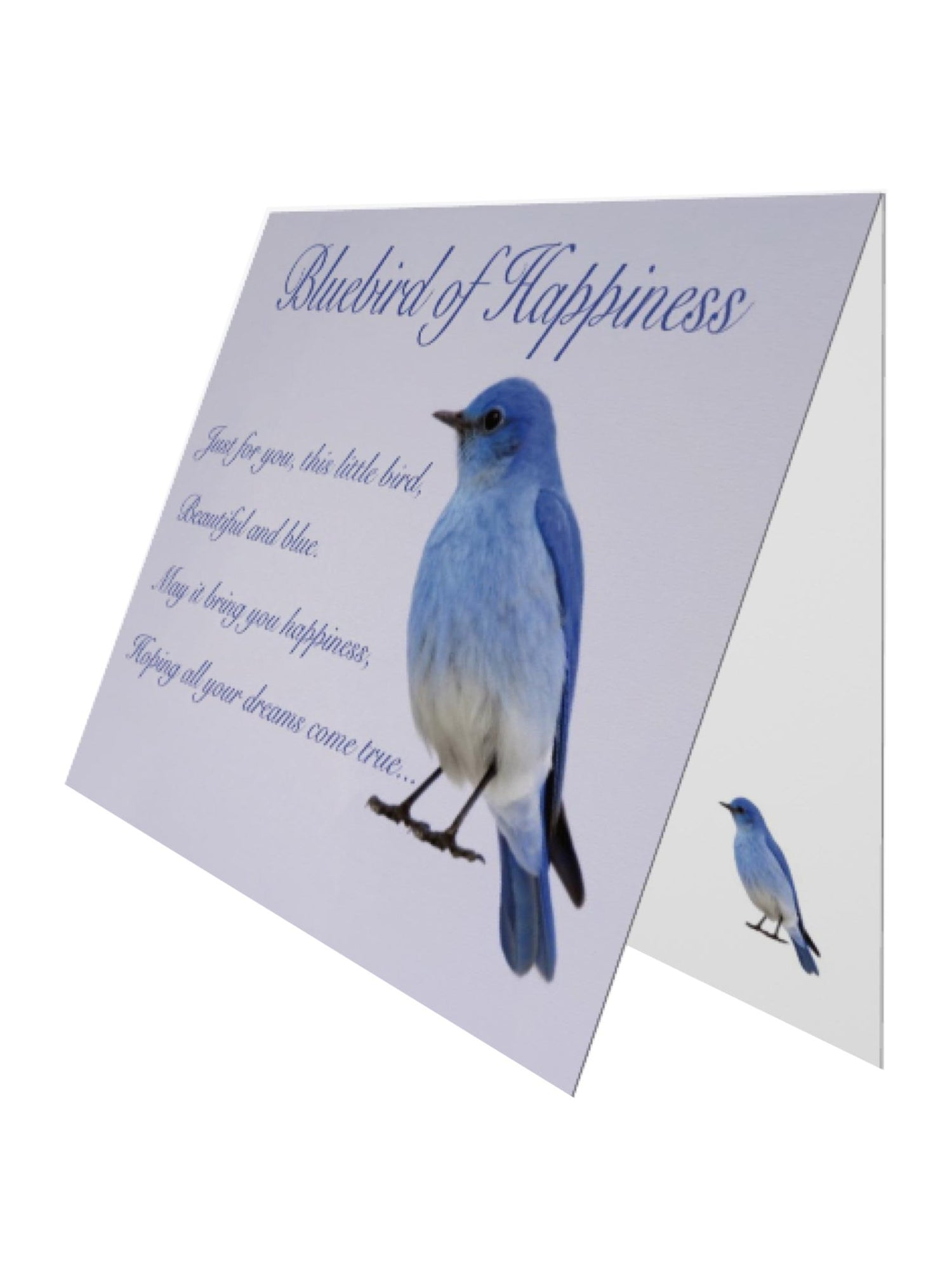 Bluebird of Happiness Charm Drop Earrings in Sterling Silver