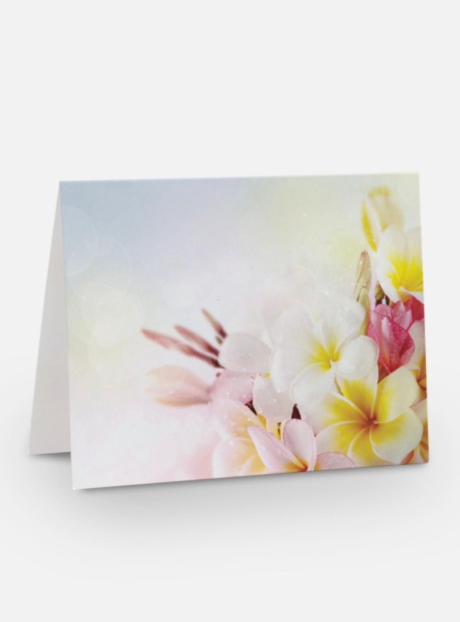 Frangipani Flower Greeting Gift Card