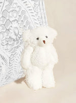 Cuddly Teddy Bear Pocket Hug Gift in White