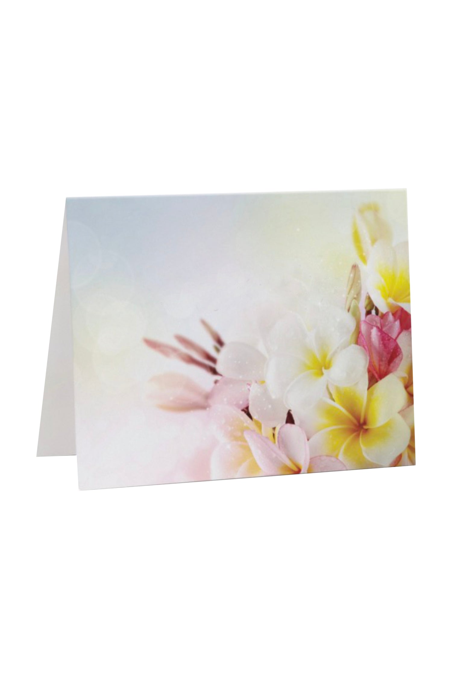 Frangipani Flower Greeting Gift Card