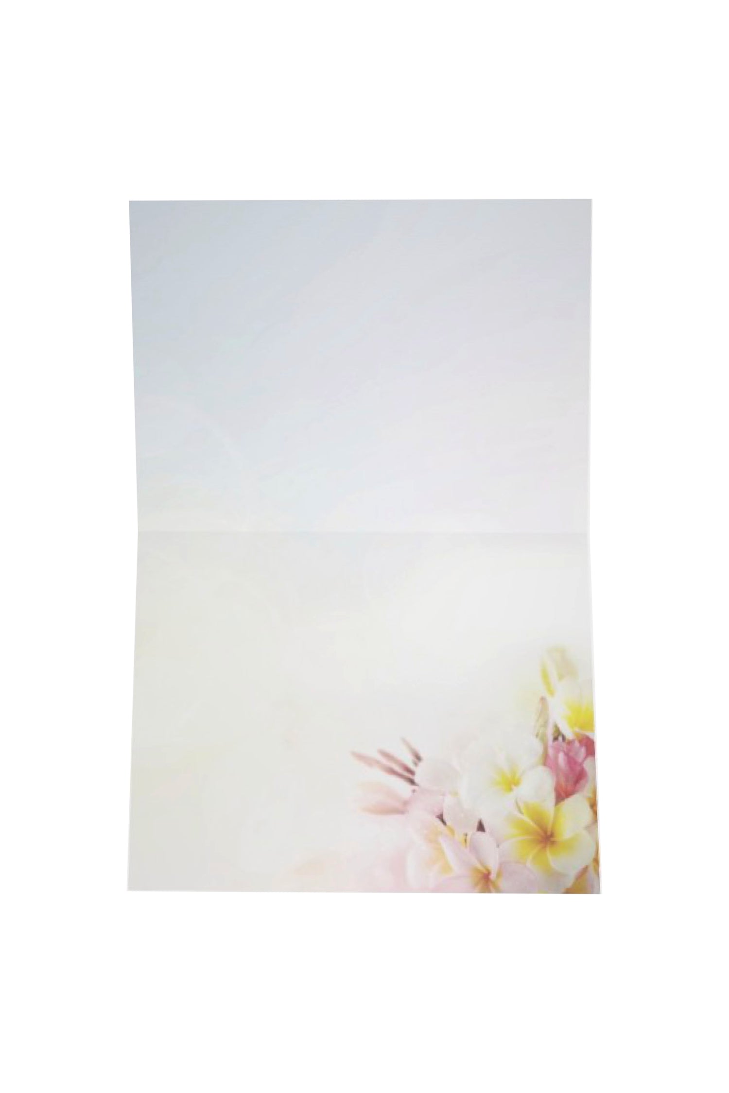 Frangipani Flower Greeting Gift Card