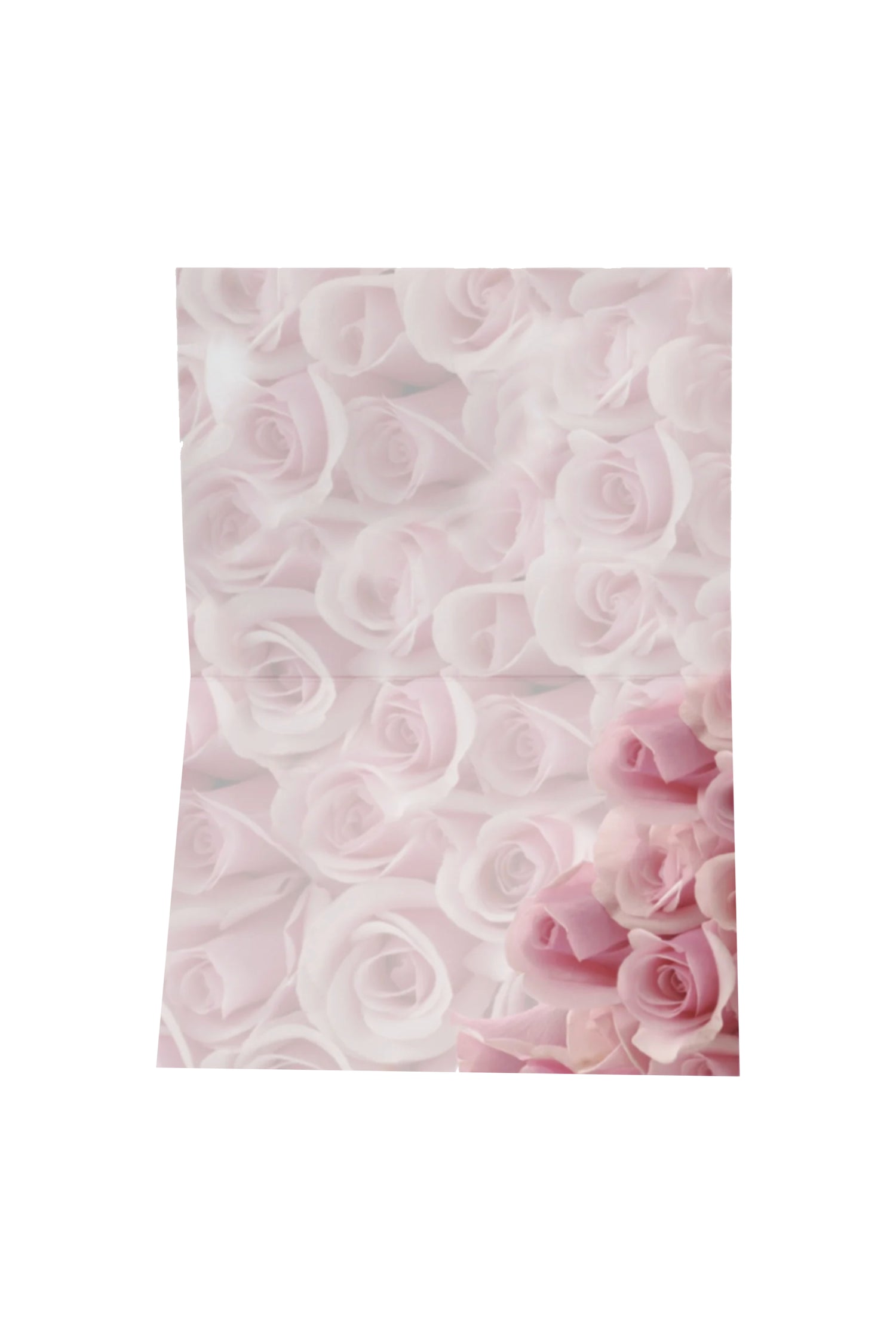 Free Gift Folded Card Pink Roses
